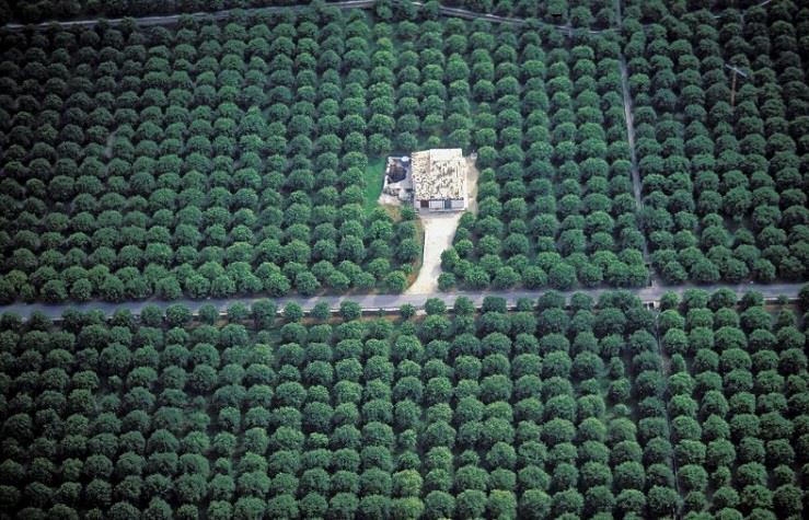 Les plus beaux agritourismes de Sicile