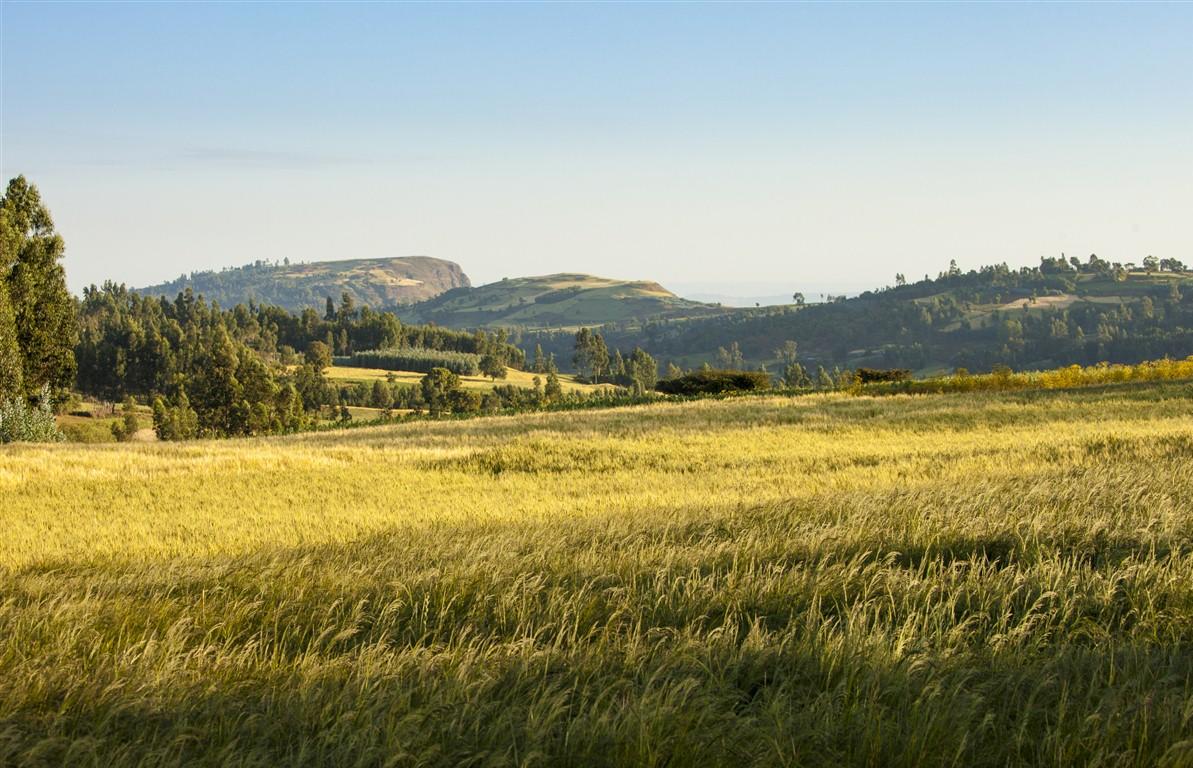 A vivre en Éthiopie et nulle part ailleurs