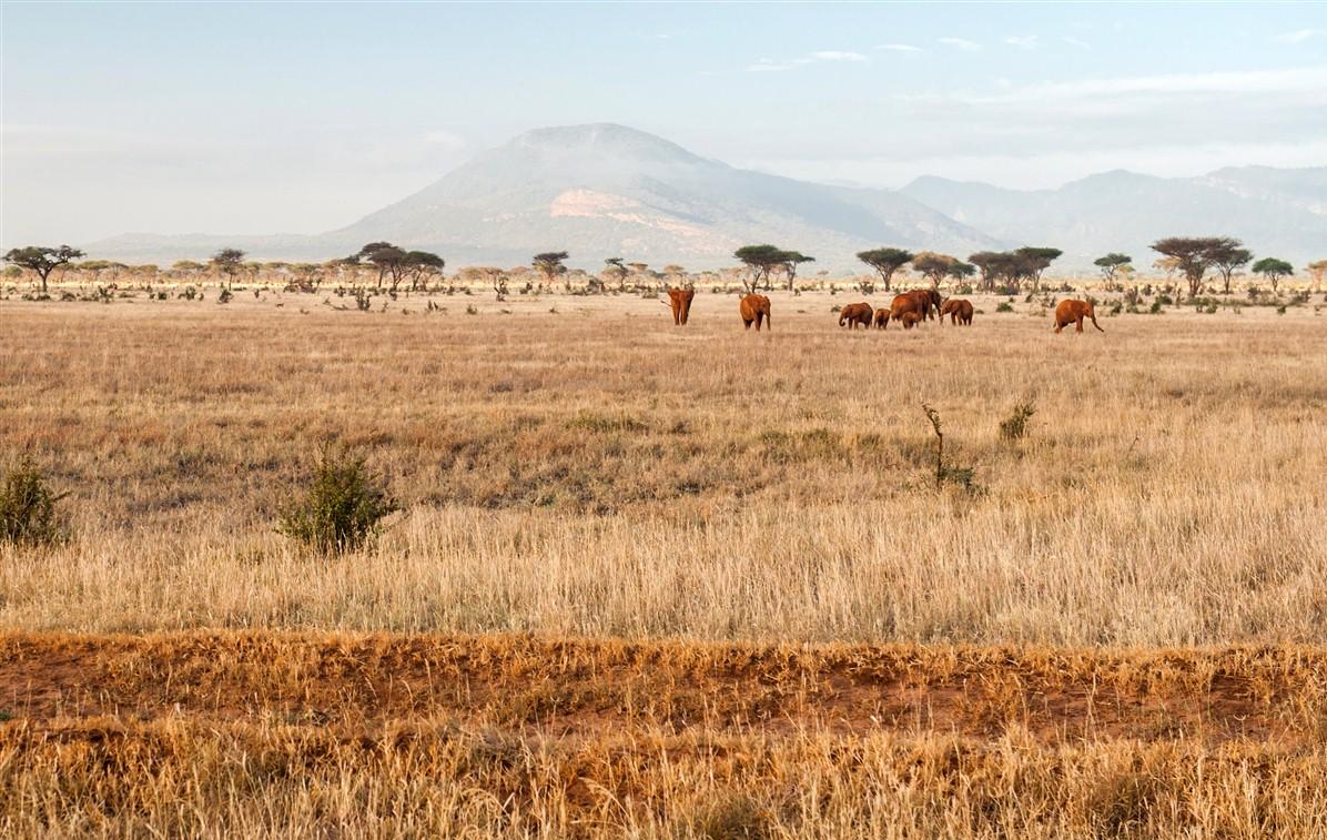 A vivre au Kenya et nulle part ailleurs