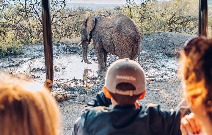Safari Family en Afrique du Sud