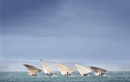 5 livres à lire avant de partir à Madagascar