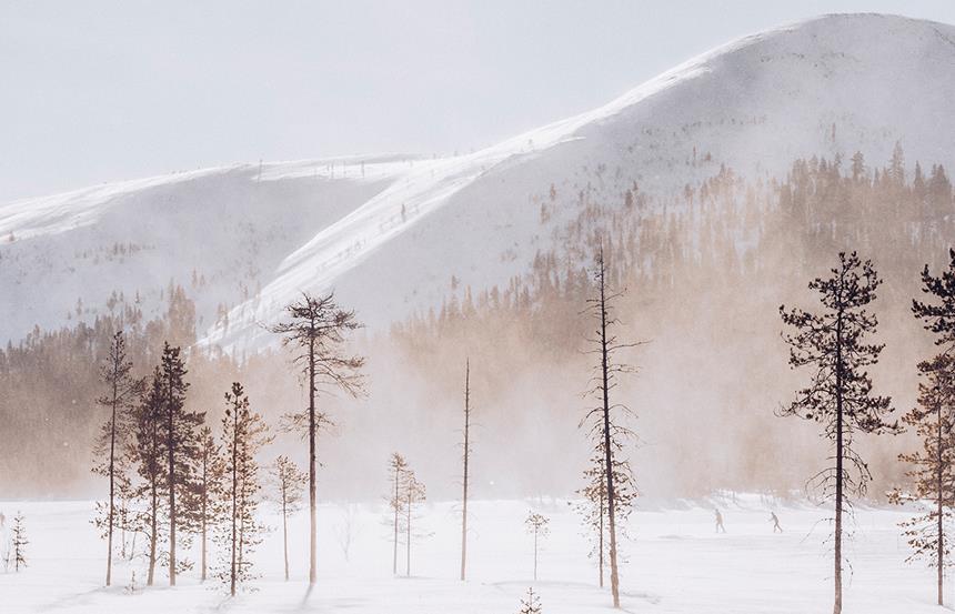Laponie, un silence de neige